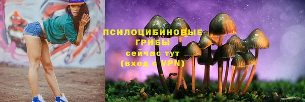 a pvp Покровск