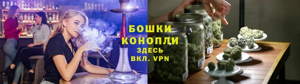 гидра Пестово