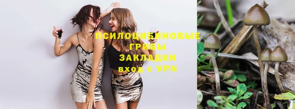 a pvp Покровск