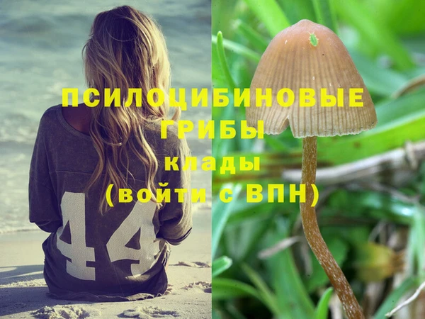 гидра Пестово