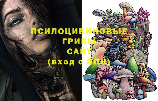 гидра Пестово