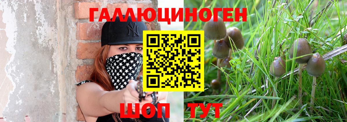 хочу   Асбест  Псилоцибиновые грибы MAGIC MUSHROOMS 