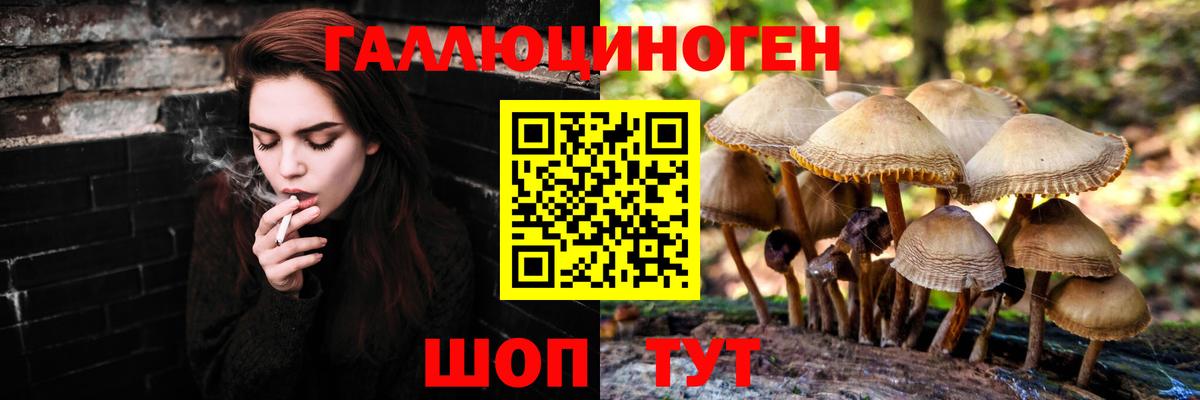 Асбест  Галлюциногенные грибы мухоморы  Вход с VPN  Псилоцибиновые грибы мицелий 